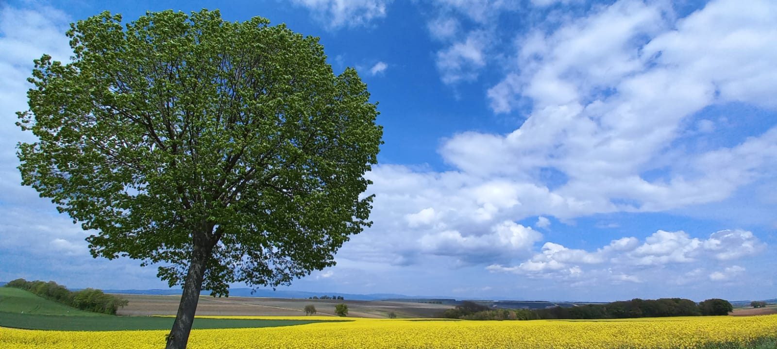 The charm of the Belgian Ardennes