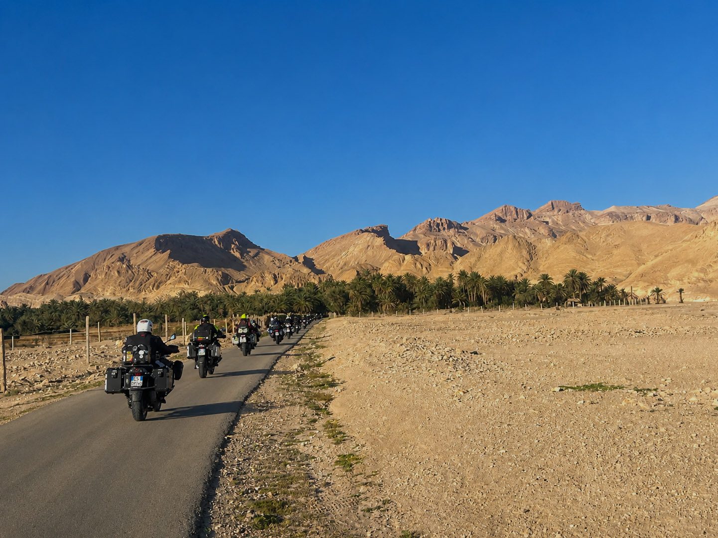 The trail between the palm trees towards the oasis